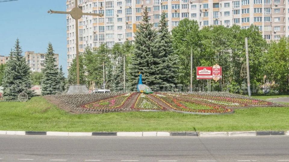 На въезде в Брянск зацвела Жар-птица