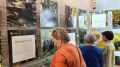В Трубчевске открылась фотовыставка о спасении медвежат-сирот