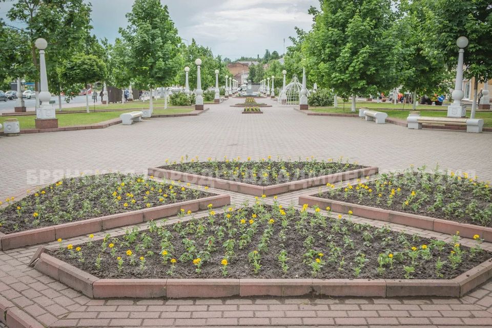 В сквере Карла Маркса расцвела цветочная карета! В сквере Карла Маркса расцвела цветочная карета!