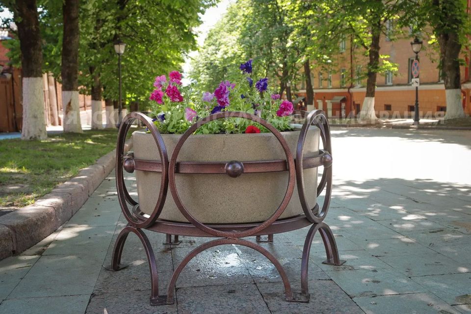 В сквере Карла Маркса расцвела цветочная карета! В сквере Карла Маркса расцвела цветочная карета!