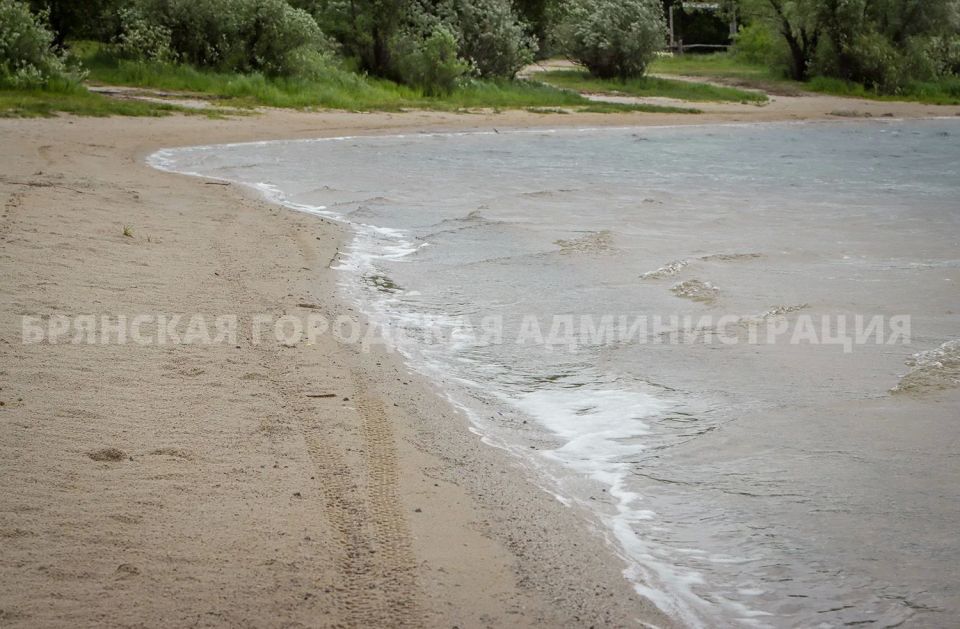 В Брянске открылся купальный сезон В Брянске открылся купальный сезон