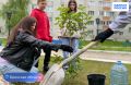 Партийцы и молодежь озеленили Новозыбков