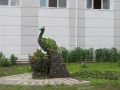 В Брянске пройдёт смотр-конкурс на лучшее благоустройство