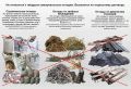 Уважаемые жители Новозыбковского городского округа!