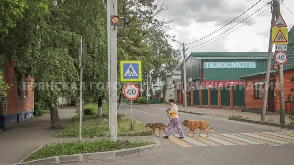 В Бежицком районе города Брянска капитально отремонтировали улицу Камозина