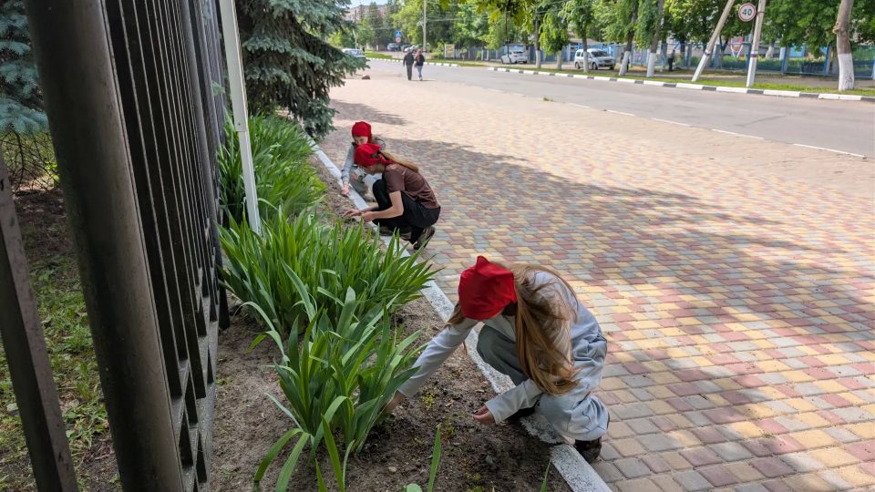 Труд в радость: шаг к самостоятельности Труд в радость: шаг к самостоятельности