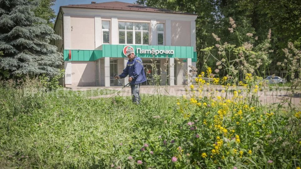 В Брянске с начала лета подстригли траву на 2 487 400 квадратных метрах