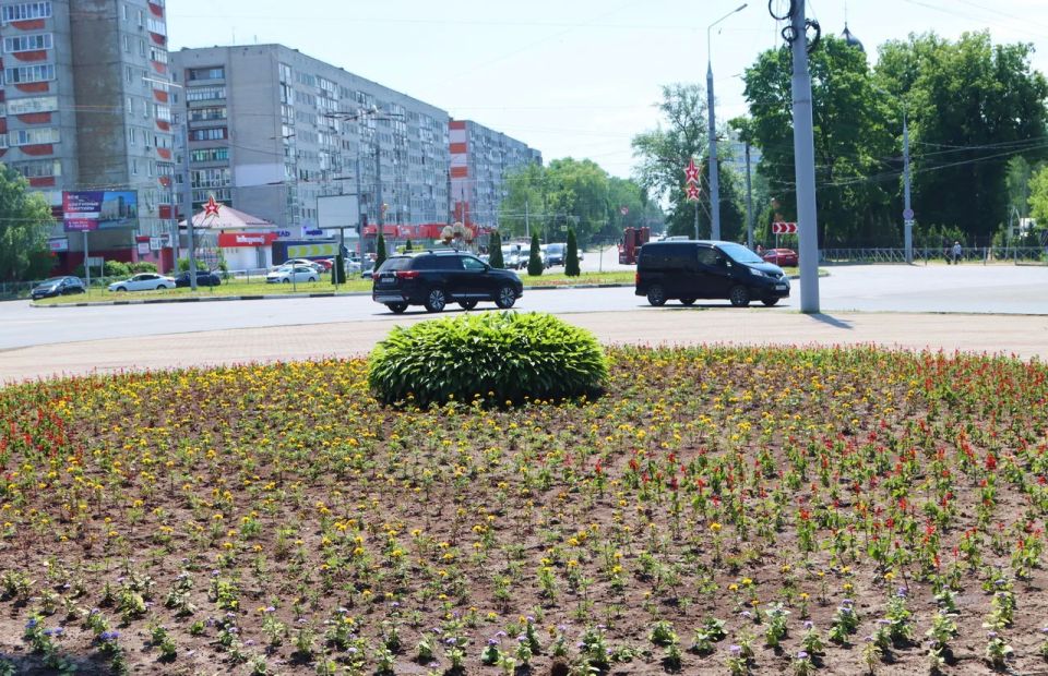 Разворотное кольцо у самолёта украсили 3000 цветов Разворотное кольцо у самолёта украсили 3000 цветов
