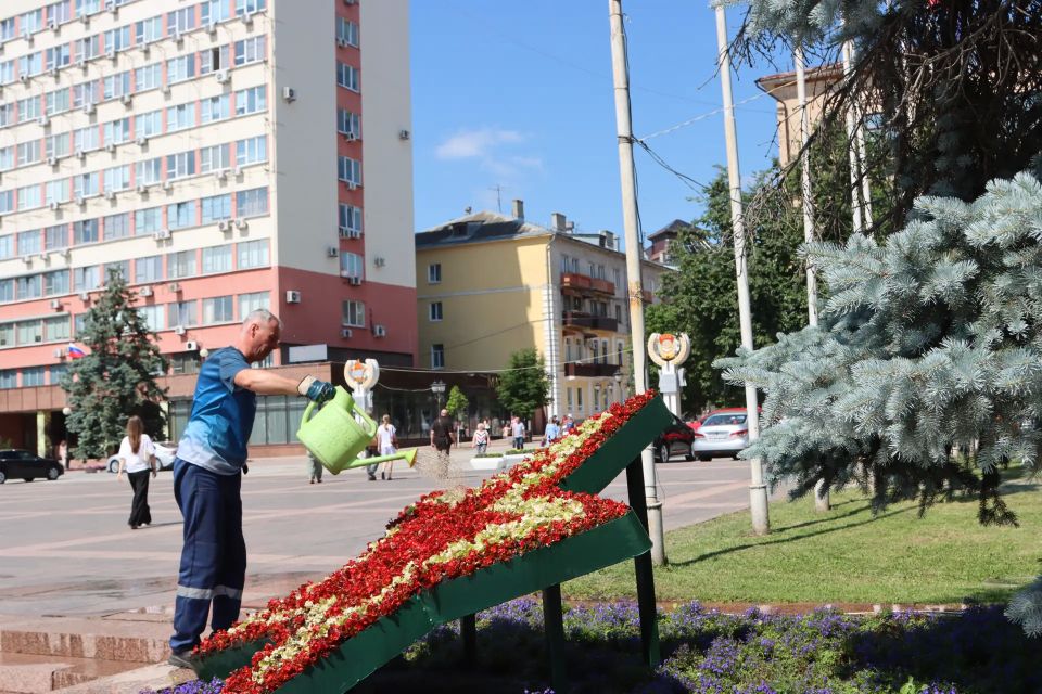 В Брянске каждый день высаживают около 6 тысяч цветов В Брянске каждый день высаживают около 6 тысяч цветов