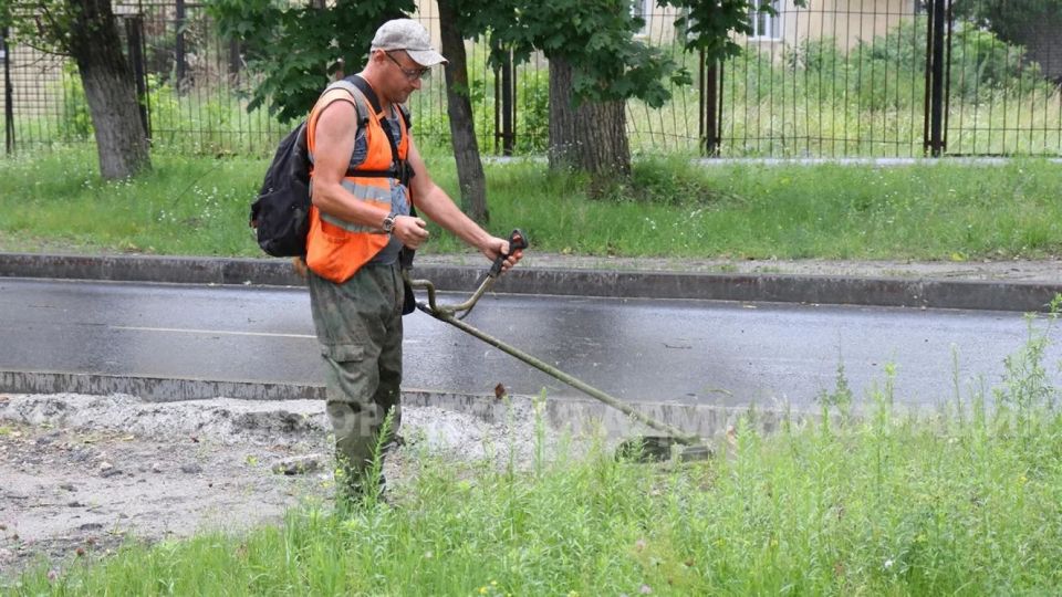 Дорожное управление Брянска продолжает покос травы на улицах и в скверах