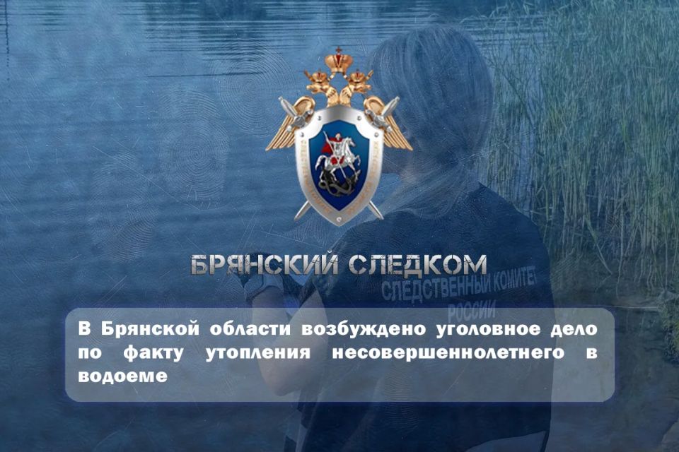 В Брянской области возбуждено уголовное дело по факту утопления несовершеннолетнего в водоеме