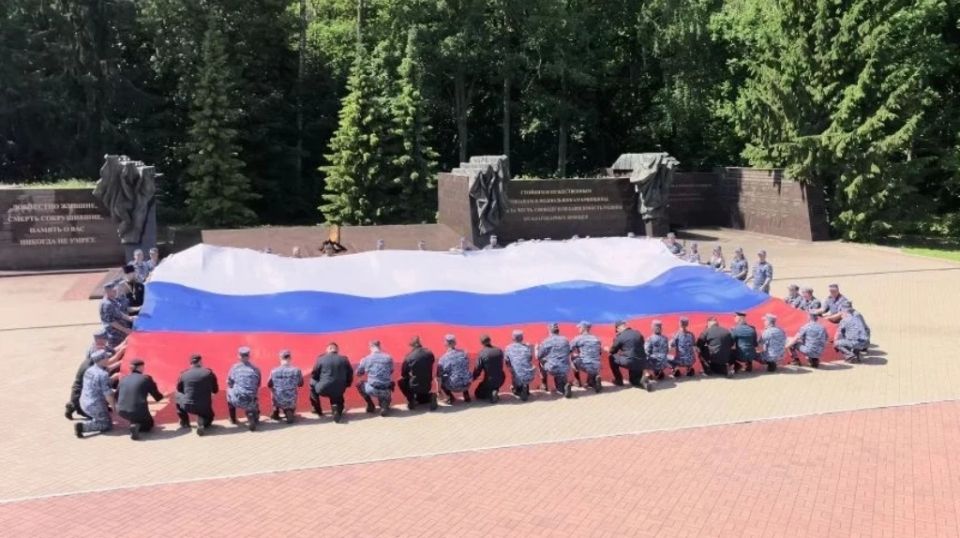 Более 50 брянских росгвардейцев развернули 12-метровый триколор на Партизанской поляне ко Дню России Более 50 брянских росгвардейцев развернули 12-метровый триколор на Партизанской поляне ко Дню России