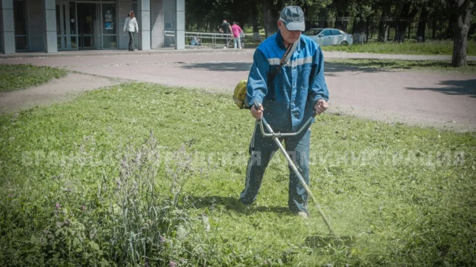 За выходные в Брянске скосили более 115 тысяч квадратных метров травы