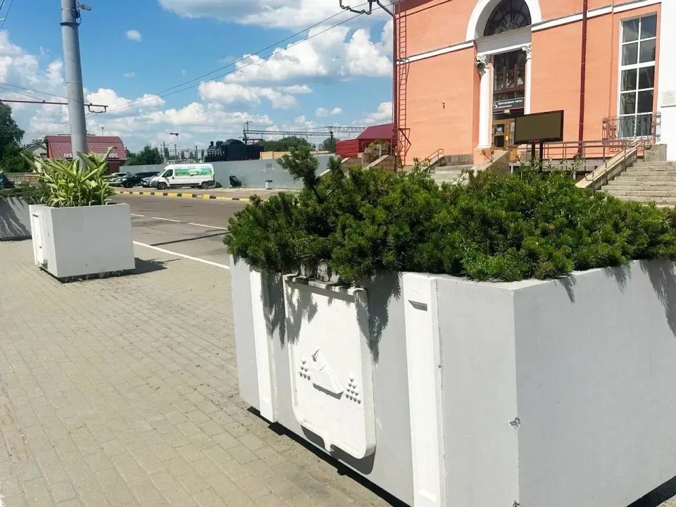 Вот так «зацвела» привокзальная площадь в Брянске Вот так «зацвела» привокзальная площадь в Брянске