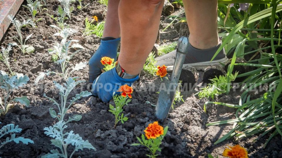 В Брянске продолжается масштабное благоустройство улиц