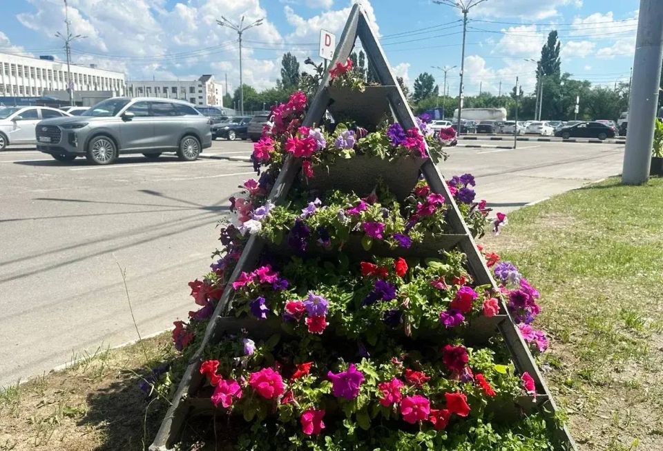 Вот так «зацвела» привокзальная площадь в Брянске Вот так «зацвела» привокзальная площадь в Брянске