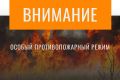 В лесах Брянской области введен особый противопожарный режим