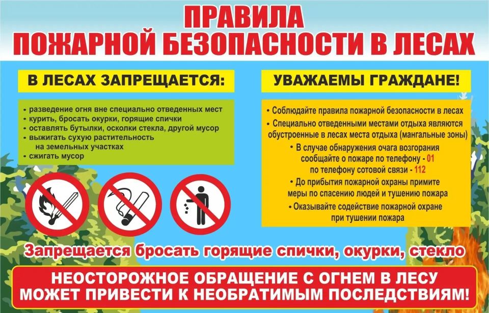 В Брянской области действует особый противопожарный режим в лесах
