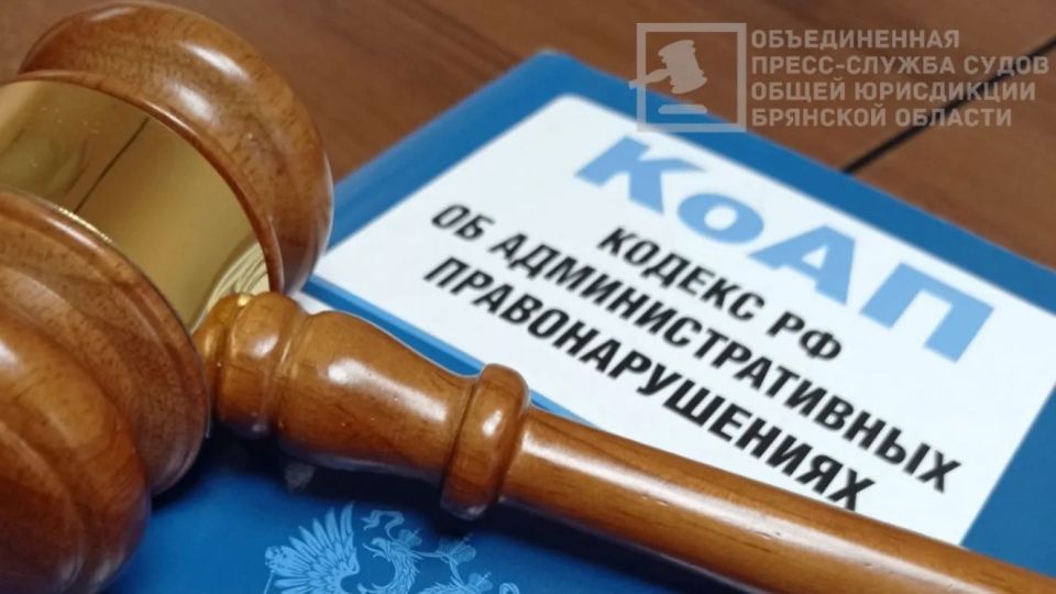 В Дубровском районе оштрафован гражданин Беларуси за незаконную торговлю продуктами