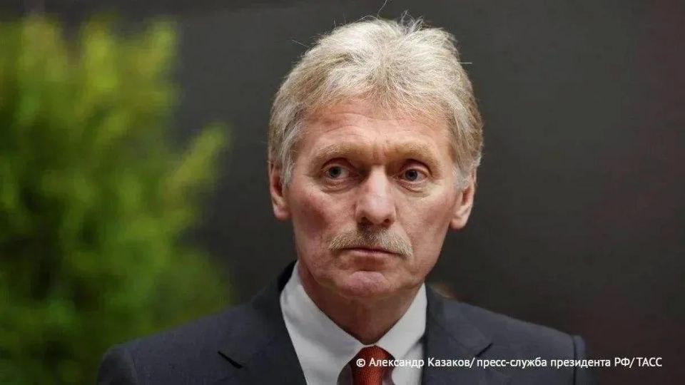 Песков предположил, что Европа оставит без внимания теракт ВСУ в Брянской области