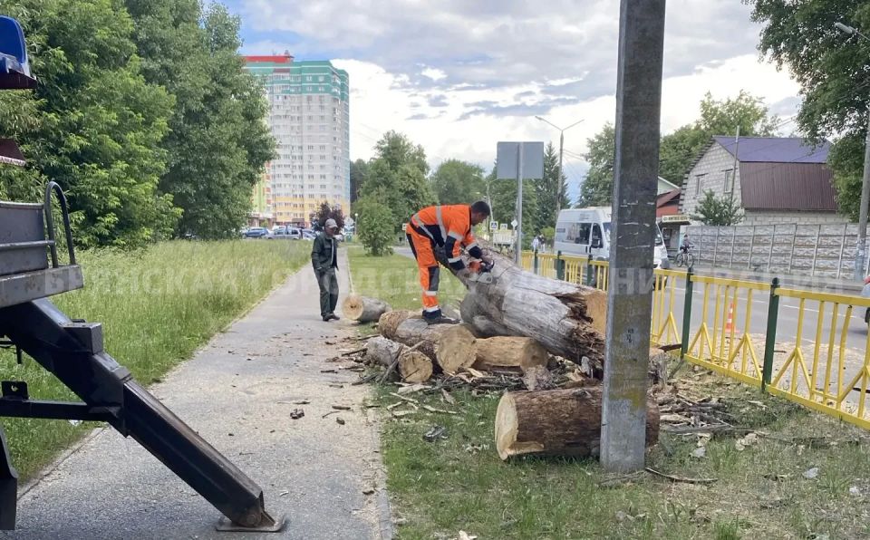 Пресс-служба отвечает. В паблике «Типичный Брянск» была размещена информация, в которой подписчики выражали беспокойство по поводу засохшего дерева на улице Чернышевского Пресс-служба отвечает. В паблике «Типичный Брянск» была размещена информация, в которой подписчики выражали беспокойство по поводу засохшего дерева на улице Чернышевского