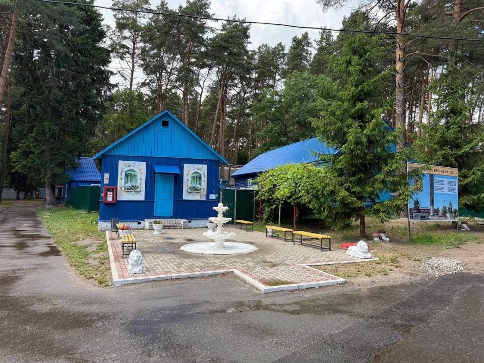 В Брянской области оценили условия отдыха и безопасность в детских загородных лагерях В Брянской области оценили условия отдыха и безопасность в детских загородных лагерях