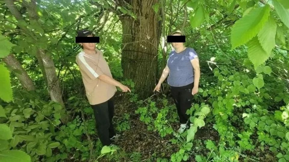 В Брянской области пресечено 17 фактов сбыта и хранения наркотиков