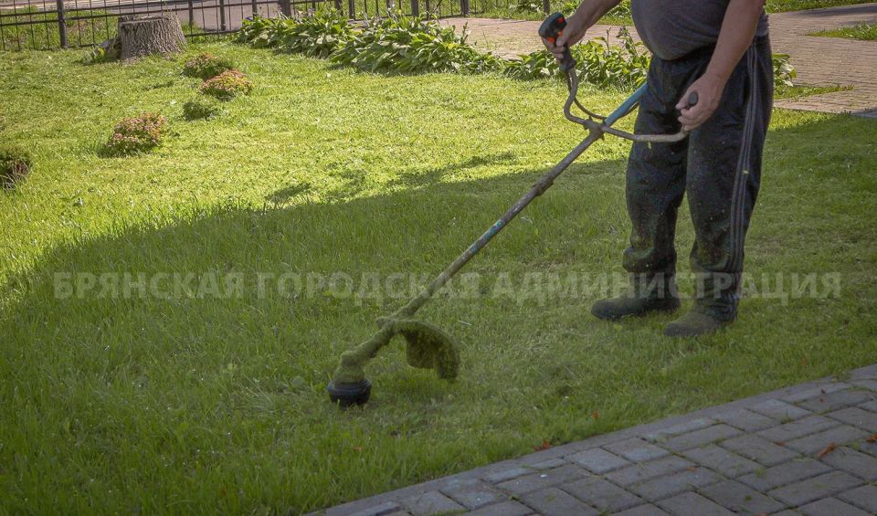 За сутки в Брянске покосили более 87 тысяч кв.м травы