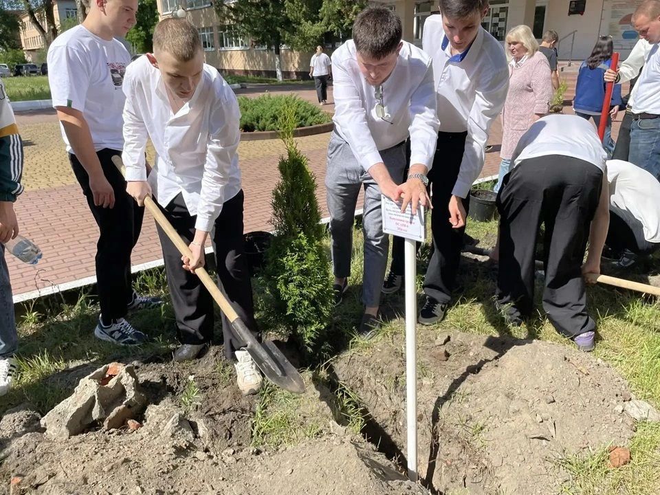 Брянские студенты заложили «Аллею выпускников» в Год единства народов России Брянские студенты заложили «Аллею выпускников» в Год единства народов России