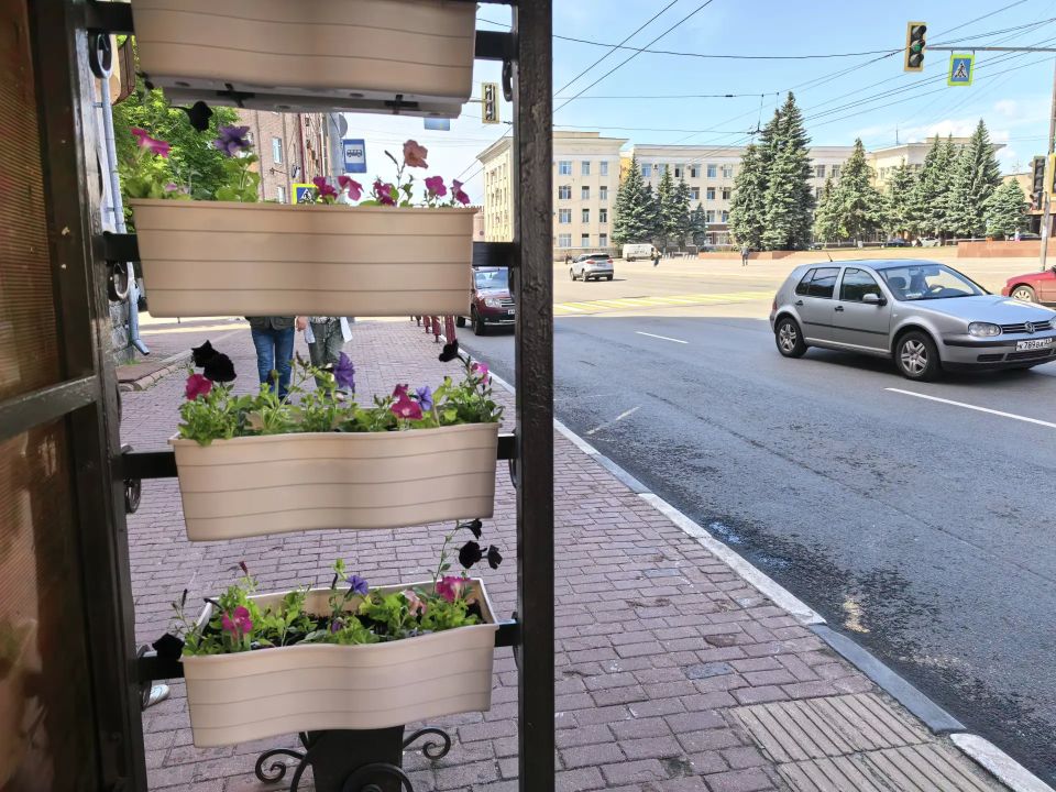 Пять остановок в Брянске украсили цветами Пять остановок в Брянске украсили цветами