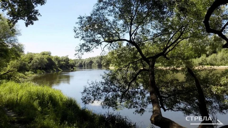 Жители Брянской области могут принять участие во Всероссийском конкурсе фотографий «Водные достояния России — 2026» от Росводресурсов