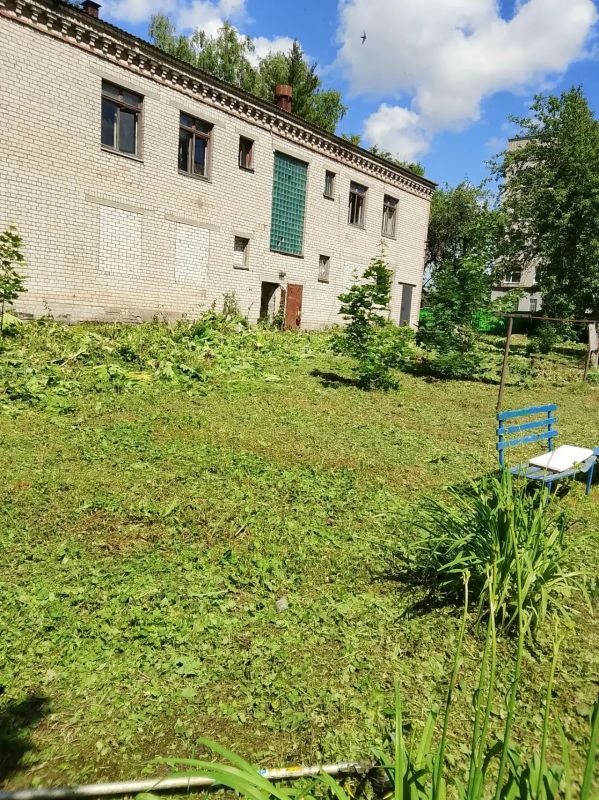 Продолжается работа по уничтожению борщевика Сосновского на территории Брянского района! Продолжается работа по уничтожению борщевика Сосновского на территории Брянского района!
