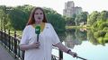 Улица, названная в честь знаменитых художников-земляков, пока не оправдывает своего имени