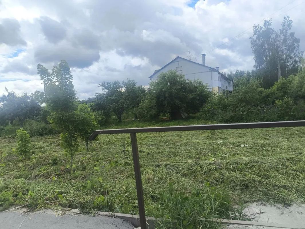 Продолжается работа по уничтожению борщевика Сосновского на территории Брянского района! Продолжается работа по уничтожению борщевика Сосновского на территории Брянского района!