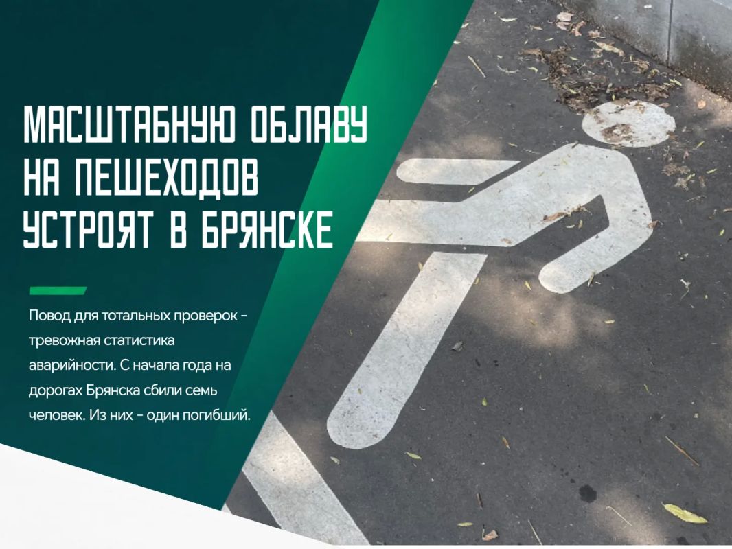 Масштабную облаву на пешеходов устроят в Брянске