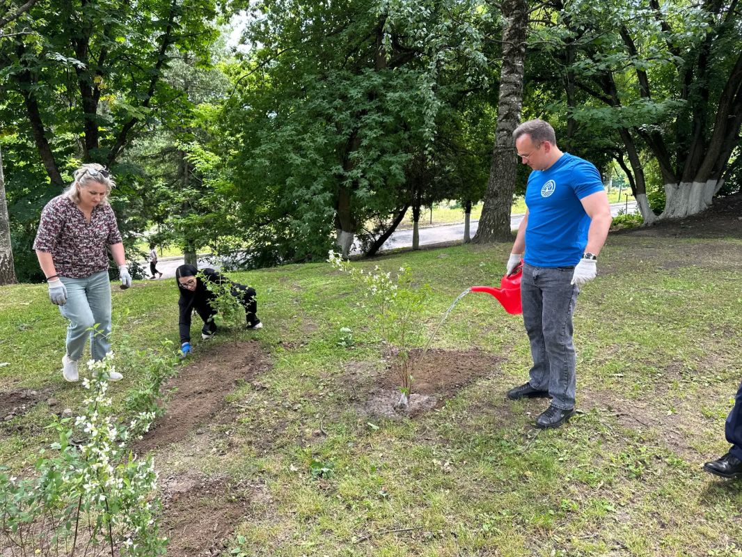 В центре Брянска высадили жасмин В центре Брянска высадили жасмин