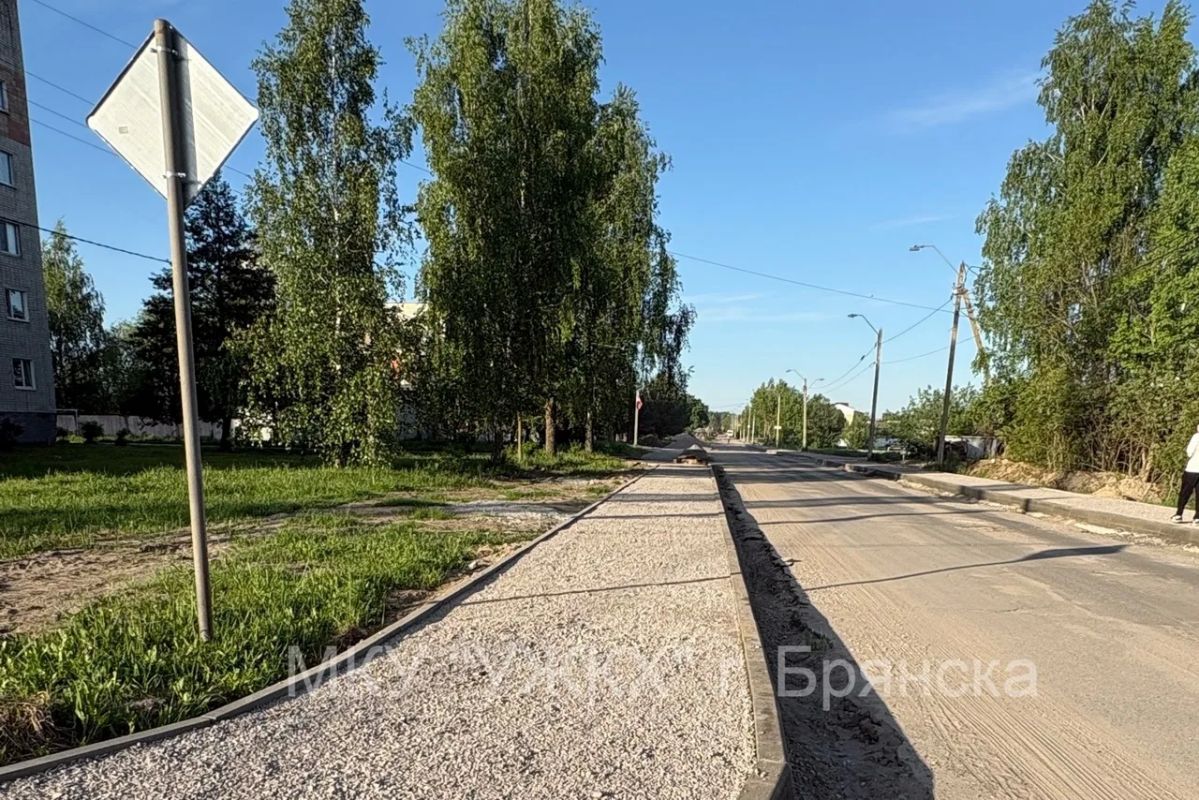 В Брянске ремонтируют дорогу к пляжу В Брянске ремонтируют дорогу к пляжу