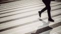 Госавтоинспекция Брянска подвела итоги оперативно-профилактического мероприятия "Пешеход"