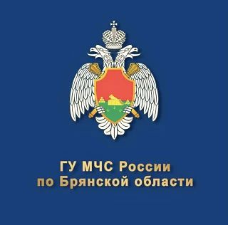Профилактика безопасности: инспекторы ОНДПР провели занятия для школьников в Сельцо Профилактика безопасности: инспекторы ОНДПР провели занятия для школьников в Сельцо