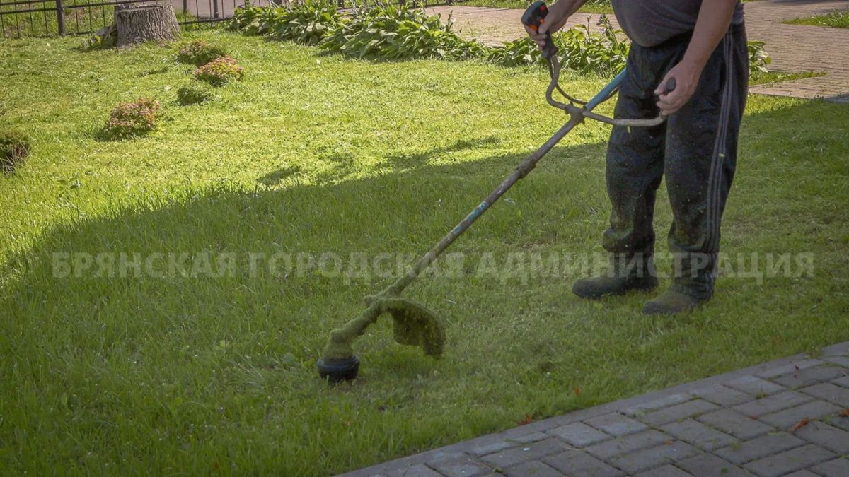 В Брянске продолжаются работы по уборке дорог и покосу травы