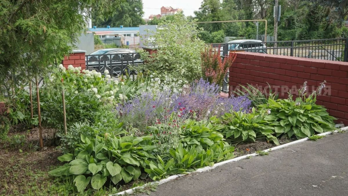Брянск обновляется: в городе проходит конкурс на лучшее благоустройство территорий