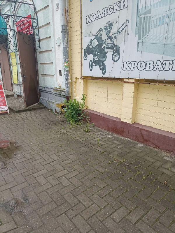 Администрация Стародубского муниципального округа Брянской области напоминает собственникам торговых объектов о необходимости соблюдения правил благоустройства и содержания прилегающих территорий Администрация Стародубского муниципального округа Брянской области напоминает собственникам торговых объектов о необходимости соблюдения правил благоустройства и содержания прилегающих территорий