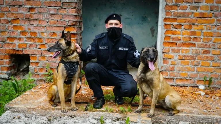 Брянскому ОМОН «Арсенал» исполнилось 33 года Брянскому ОМОН «Арсенал» исполнилось 33 года