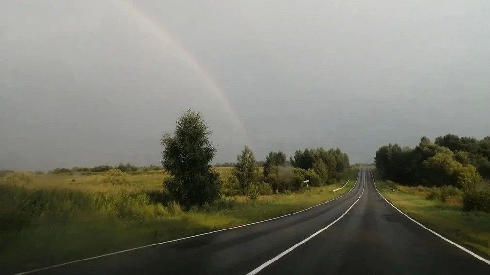 Жару сменила непогода. Завтра, 7 июля, в Брянской области ожидается облачная погода с прояснениями