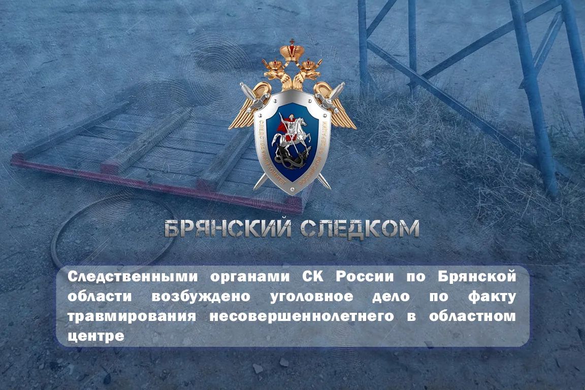 Следственными органами СК России по Брянской области возбуждено уголовное дело по факту травмирования несовершеннолетнего в областном центре