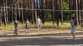 Безграничные возможности в семейке «Новокемпа»