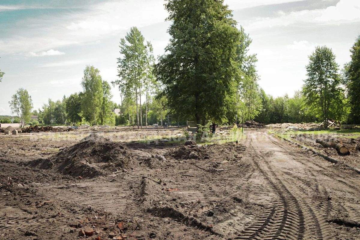 В парке «Олимпийский» высадят более полутысячи молодых растений В парке «Олимпийский» высадят более полутысячи молодых растений