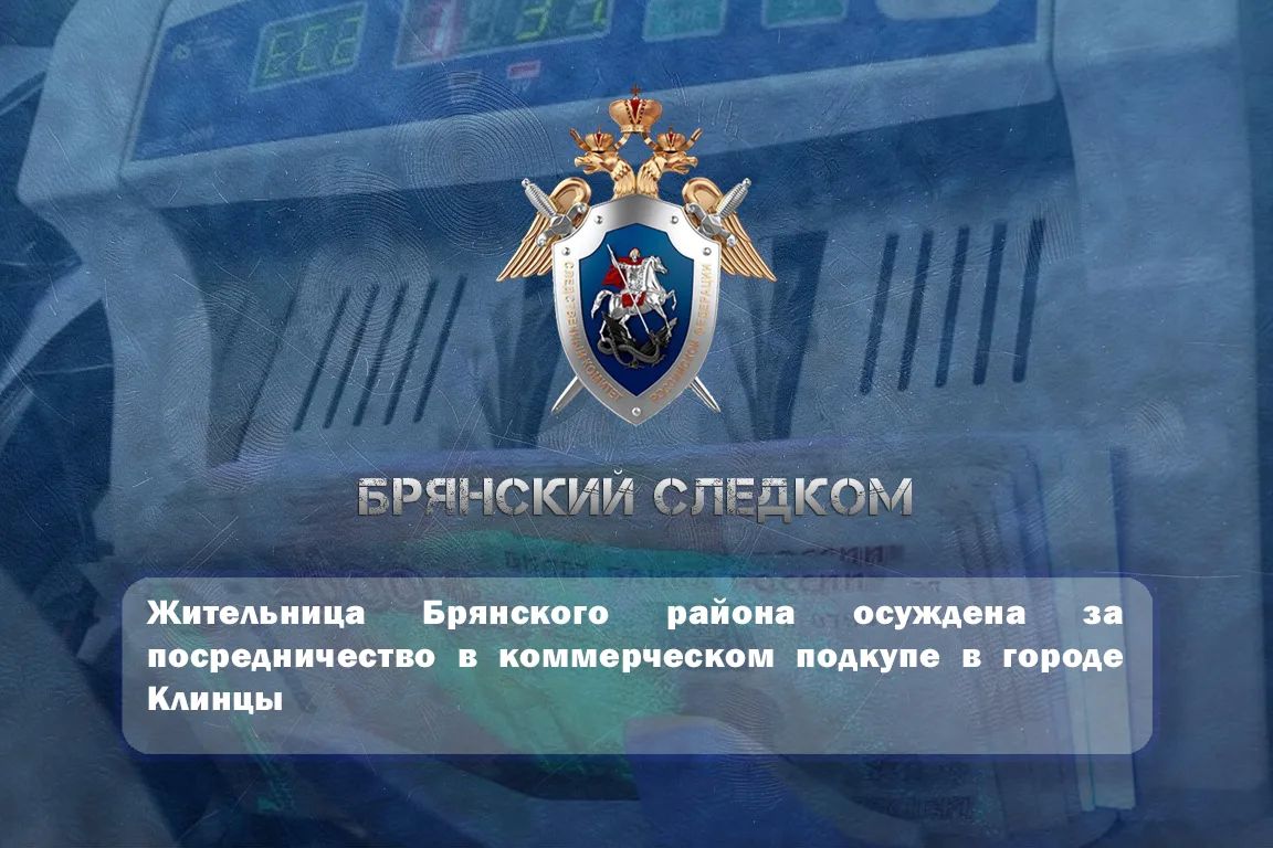 Жительница Брянского района осуждена за посредничество в коммерческом подкупе в городе Клинцы