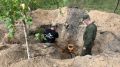 В рамках всероссийской патриотической акции «Вахта Памяти» сотрудники следственного управления СК России по Брянской области приняли участие в поисковых мероприятиях в городе Жуковке