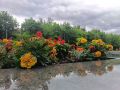 Курган радует яркими красками